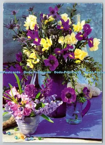 D306953 Frau und Zuhause Carolyn Bailey Debbie Patterson