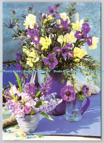 D306955 Frau und Zuhause Carolyn Bailey Debbie Patterson