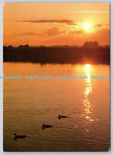 D306958 Sonnenuntergang über dem Reservoir Coling Howard Tring Camera Club The Rose und C