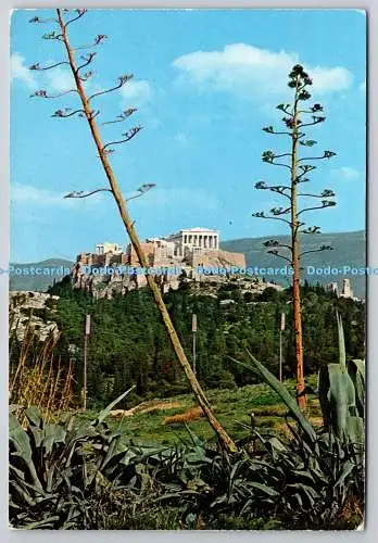 D306980 Athen Ansicht der Akropolis Postkarte
