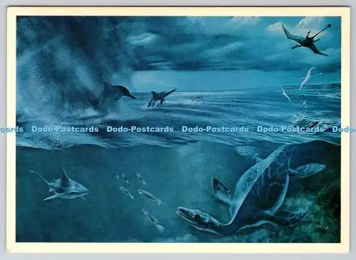 D303623 Peterborough Museum and Art Gallery Jurassic Seascape ca 170 Millionen