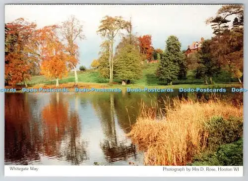 D309609 Whitegate Way Cheshire Federation of Women Institutes Richter Frau D Rose