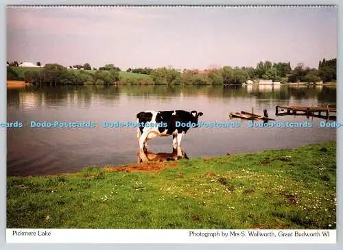 D309612 Pickmere Lake Cheshire Federation of Women Institutes Richter Frau S Wallw
