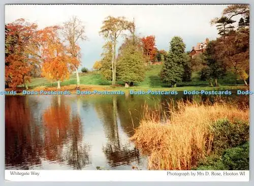 D309637 Whitegate Way Cheshire Federation of Women Institutes Richter Frau D Rose