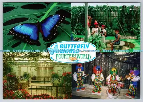D301073 Butterfly World and Fountain World Morpho Peleides from S AmericaThe Ita