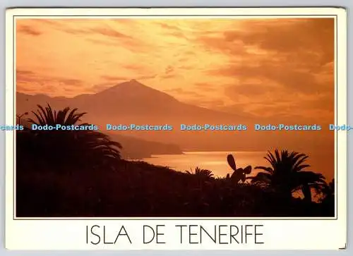 D303675 Isla de Tenerife Teide A golden sunset Imagina Tullio Gatti Lito A