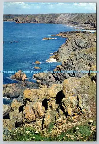 D307144 Echsenkopf nach Kynance Cove Cornwall K Scowen F I B P F R P S J Arthur D