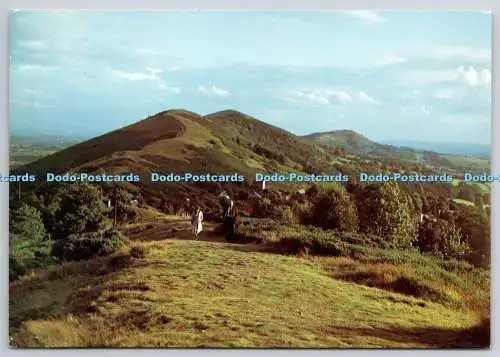 D303814 Sommerabend auf den Malvern Hills Winsor Fox Foto 1972 KNP Gruppe Engl