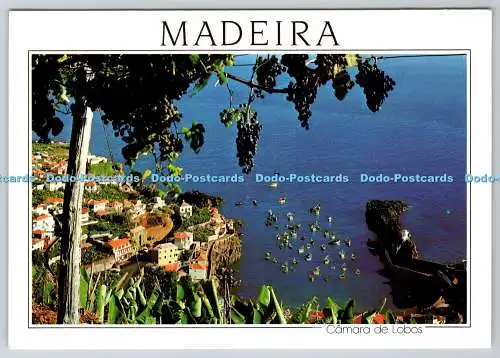 D301228 Madeira Camara de Lobos Fischerdorf Hans Huber F Ribeiro