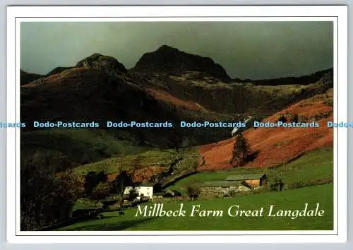D303891 Great Langdale Millbeck Farm Peter Birtwistle Sanderson and Dixon Golden