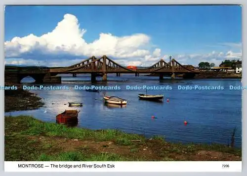 D303900 Montrose Bridge and River South Esk Whiteholme Dundee PM Perth 1993 Char