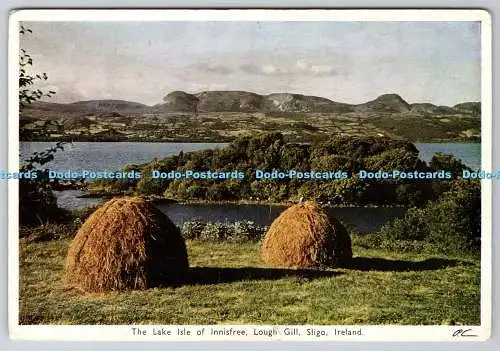 D309968 Irland Sligo Lough Gill The Lake Isle of Innisfree Emerald Isle P C Col