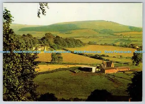 D304013 Shaftesbury Dorset Ancient Saxon Hilltop Town Melbury Beacon J Arthur Di