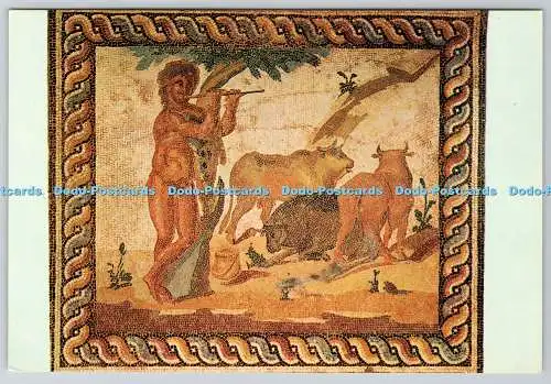 D304016 Antikes Korinthisches Museumsmosaik aus einer römischen Villa 2.Jh. n. Chr. E Tzafer