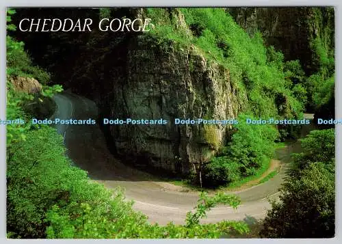 D310042 Cheddar Gorge Hufeisenbogen J Salmon Ltd Kamerafarbe