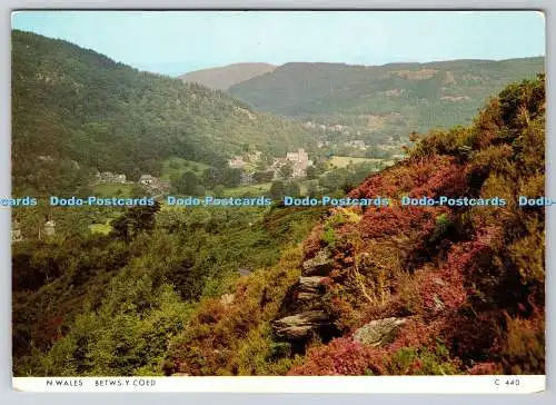 D304061 N Wales Nordwales Betwys y Coed Richter Hastings Postkarte