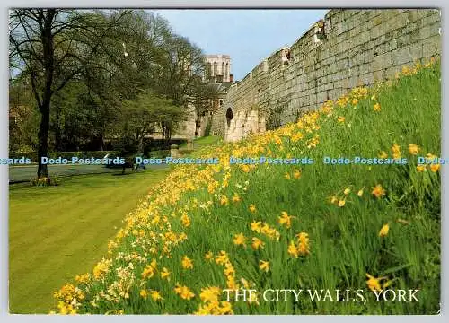 D304082 York The City Walls J Salmon Sevenoaks PM York 2004 Postkarte