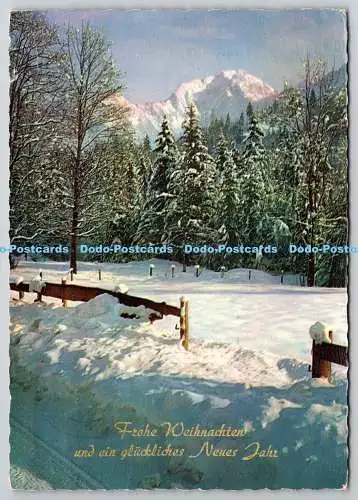 D307440 Frohe Weihnachten und ein Gluckliches Neues Jahr Amag