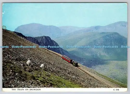 D304093 Postkarte Der Zug auf Snowdon Richter Hastings