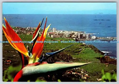 D310073 Puerto de la Cruz Bananenplantagen Kontrast zur Stadt Euroafricana