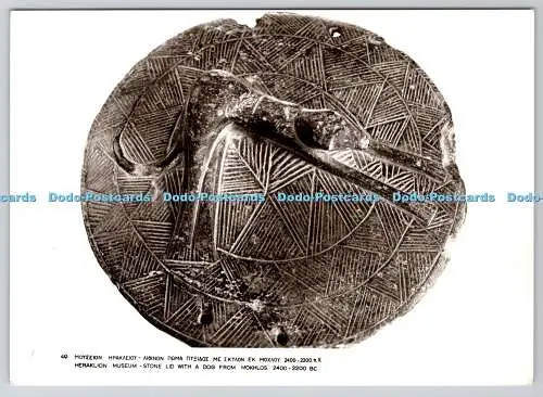D304109 Heraklion Museum Steindeckel mit Hund aus Mokhlos 2400 2200 v. Chr. 49 Postc