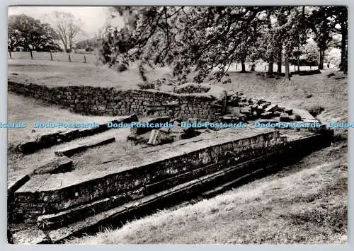 D301515 Northumberland Chesters Roman Fort Roman Bridge Abutment East of Fort Cr