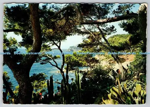 D310118 Presquile de Giens Var Les Jardins de l Hotel Provencal Presse Diffusio