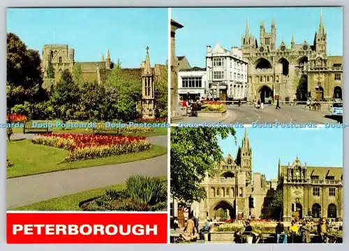 D310142 Peterborough Cathedral Square Bishops Road Gardens E T W Dennis and Sons