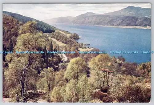 D301576 Loch Ness and Meall Fuarvounie from Inverfarigaig W S Thomson