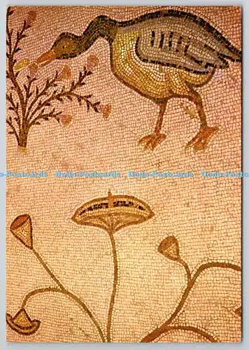 D307587 Tabgha Kirche der Brot- und Fischvermehrung Palphot Hol
