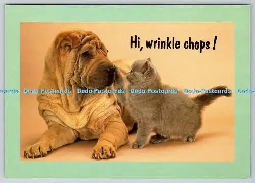 D310203 Hi Wrinkle Chops Hallmark Group International Product