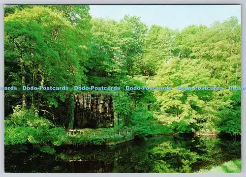 D301627 The Petrifying Well and Historic Park Mother Shipton Cave and Historic P