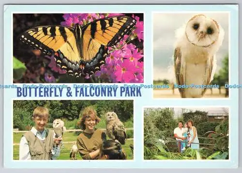 D301629 Butterfly and Falconry Park Lincs J Arthur Dixon Ltd Multi View 1993