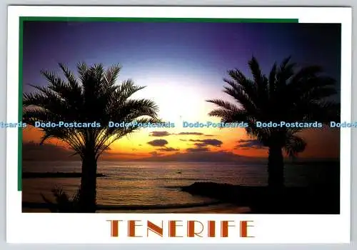 D304237 Teneriffa TP 6 Spanien Playa de Las Americas S G E L Jose Barea
