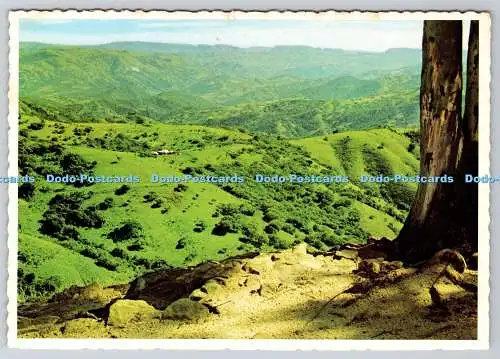 D304313 Südafrika Natal Tal der tausend Hügel Protea Farbdrucke Kap