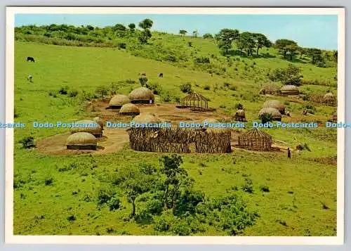 D304315 Südafrika Typisch Zulu Kraal in Natal Art Publishers B K Bjornsen Nr.