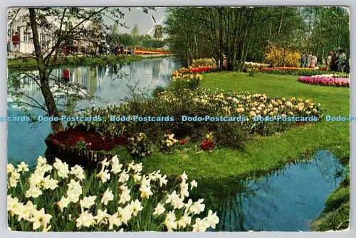D301719 Keukenhof Lisse Holland Planeta Haarlem