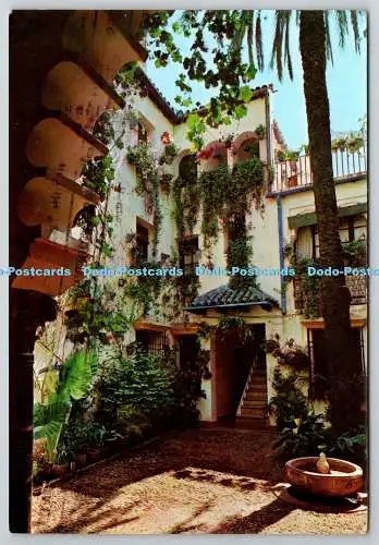 D307684 Cordoba Patio Tipico Wettbewerb der Cordovan Höfe PM Sevill