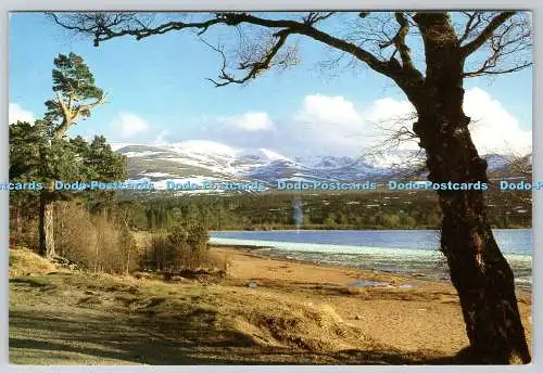 D304364 Grampian Loch Morlich mit Blick auf Cairngorms Scottish Highland Hotel