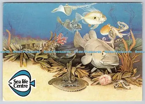 D301777 Dorset Sea Life Centre Experience Beric Tempest and Co Ltd