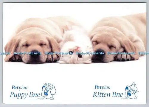 D301809 Pet Plan Puppy Line Kitten Line sucht einen Welpen oder ein Kätzchen Haustier Plan L