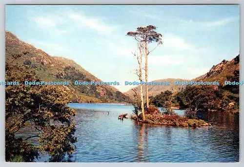 D310385 Inverness Shire Loch Eilt Route von Fort William nach Mallaig J Arthur Di