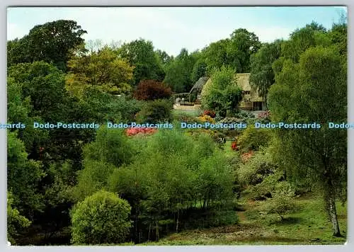 D304409 Hampshire Lyndhurst Minstead Ancient Folk Cottage New Forest Craft Galle
