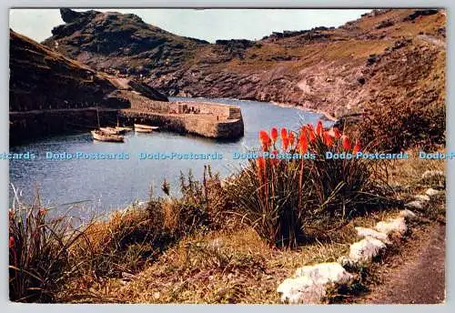 D310397 Cornwall Boscastle Harbour J Arthur Dixon Ltd 1969