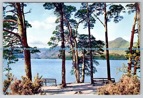 D310401 Derwentwater von Friars Crag Blick auf Catbells und den Borr