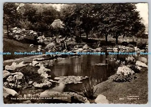 D304445 Brighton Preston Park The Rockery A W W Brighton and Worthing Picture Po