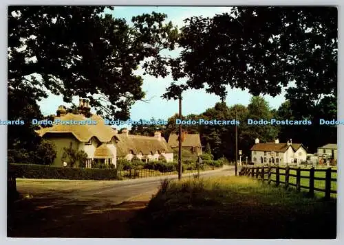 D310532 England Cheshire Swan Green bei Lyndhurst J Arthur Dixon Großbritannien