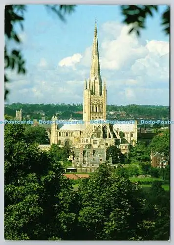 D304543 Norwich Cathedral Jarrold Postkarte