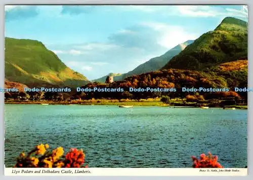 D302007 Llanberis Llyn Padarn and Dolbadarn Castle Bamforth and Co Ltd John Hind