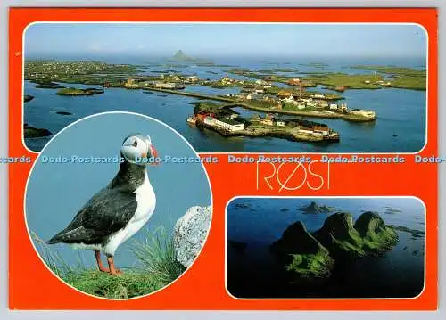 D302042 Rost Lundefugl Trenyken TO FOTO Multi View